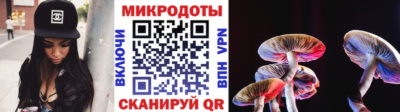 Купить  Гай  Галлюциногенные грибы мицелий 